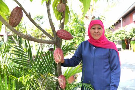 kampung coklat blitar