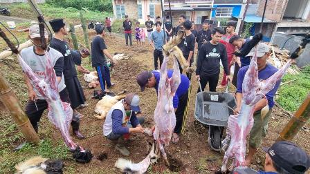 Kurban di Manbaul Ulum malang