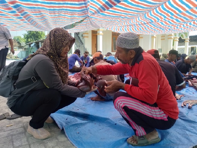 Petugas Madis DKPP, Vetri Handayani saat mengecek organ hati sapi disaksikan Ketua Takmir Masjid, Kyai Subeki.